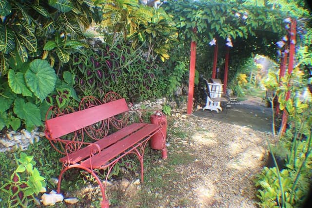 Ahhh Rasnatango Gallery and Garden