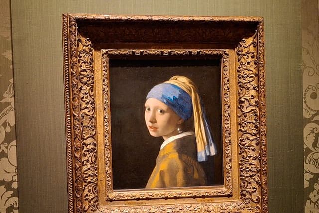 Private Guided City Tour of The Hague & Mauritshuis Museum Entry