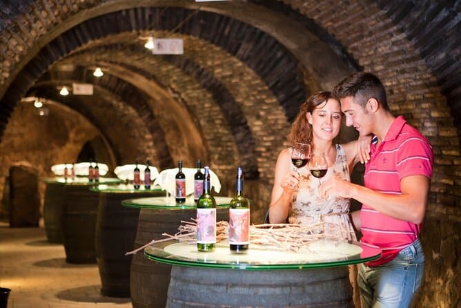 Rioja Wine Tour in Pamplona: Tastings & Vines