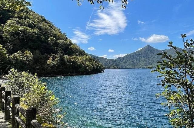 1 Day Private Nikko Tochigi Tour 
