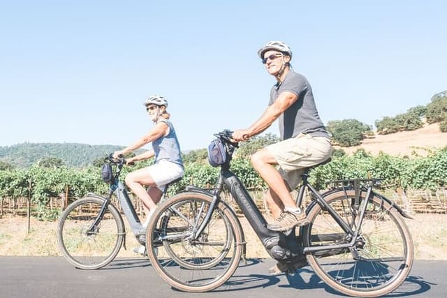 Scenic Napa Valley E-Bike Tour (no wineries)