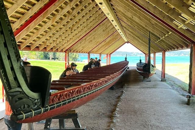 Auckland to Paihia Bay of Islands Small Group Tour (One Way)