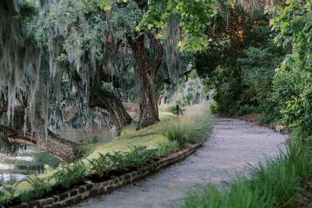 Magnolia Plantation Day Tour with Transportation