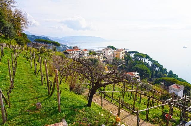 Wine Tour in Cilento with professional sommelier