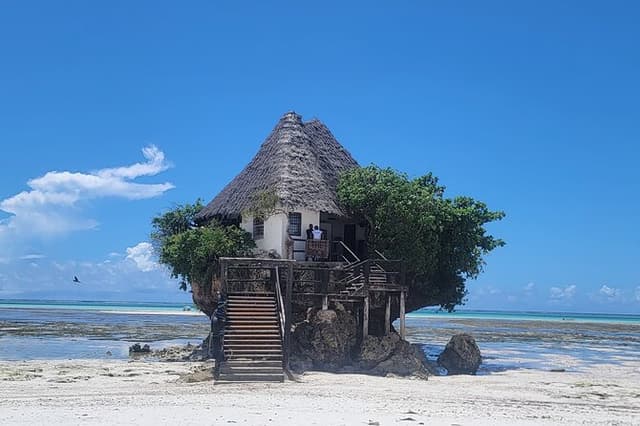 Jozani Forest Kuza Cave Paje Beach and the Rock Restaurant