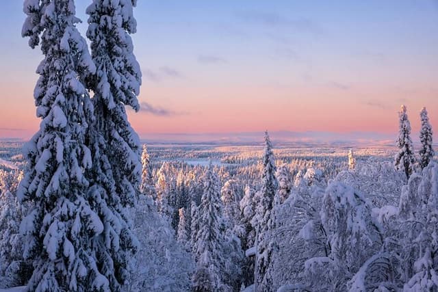 Levi Scenic Tour Reindeer Encounter and Snowshoe Adventure