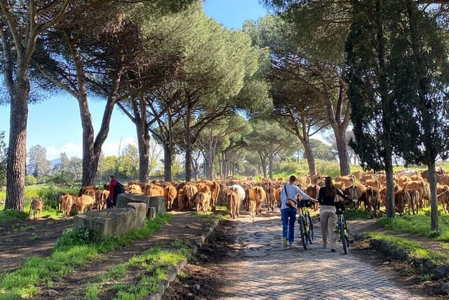 Rome: Appian Way E-bike Tour, Catacombs, Aqueducts & Transfer