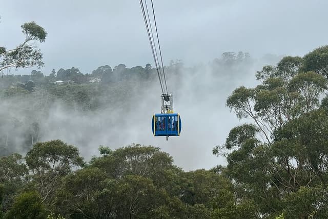 Blue Mountains Private Tour- Main attractions -Pick up & Drop off