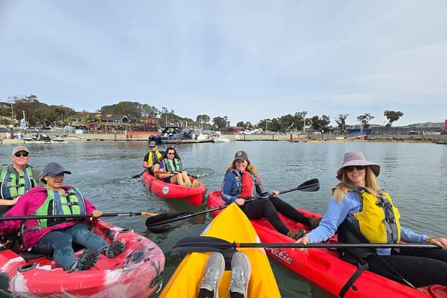 Dana Point Kayak and Coastal Hike with Sea Lion Sightings