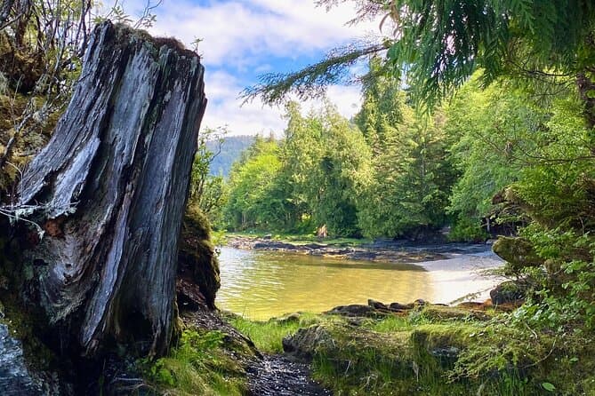 Unforgettable Ketchikan Rainforest Walk Adventures