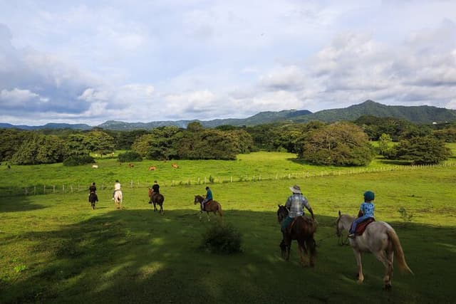 Half Day Private Guanacaste Horseback and Farm Tour