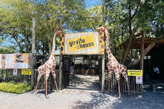Full day tour: Cheetah outreach, Stellenbosch and Giraffe House