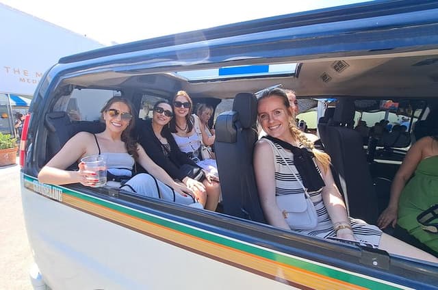 Private Hollywood VIP Tour with Open Bar, Lunch at The Grove