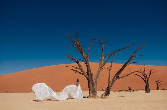 3 Day Guided Sossusvlei Tour from Windhoek Lodging