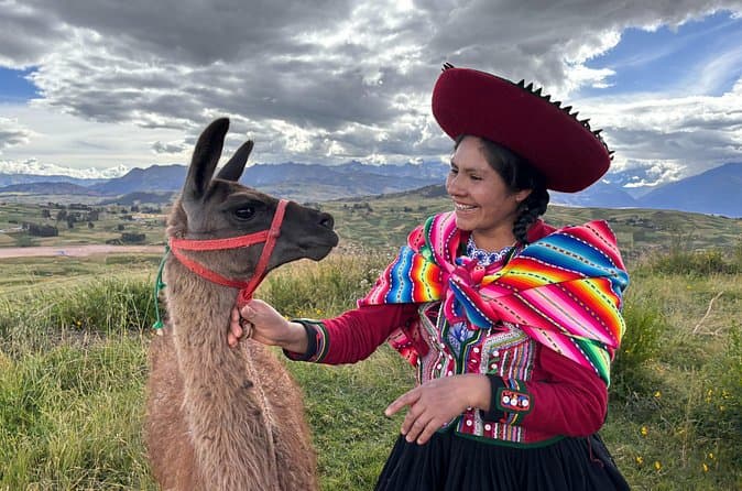 Compare Best Alpaca & Dye Tours in Cusco