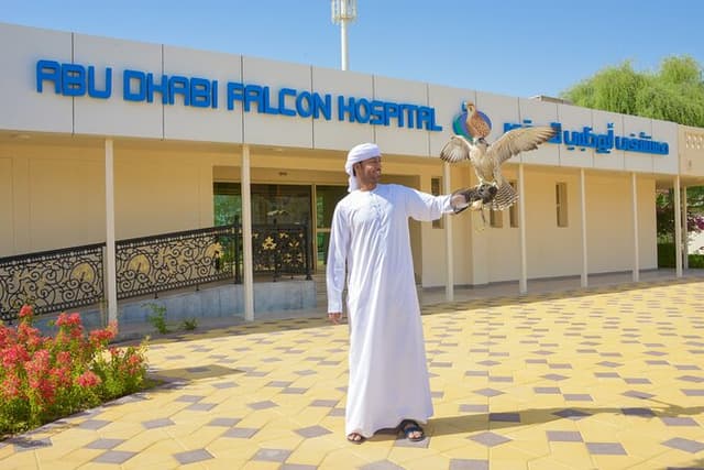 Sheikh Zayed Mosque and Falcon Hospital Tour in Abu Dhabi