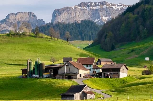 Appenzell Farm Experience from Zurich & Alpine Panorama