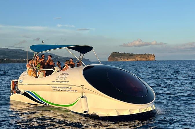 Best Azores Whale Watching in São Miguel