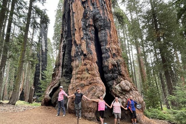 Transformative Outdoor Day Retreat Among the Giant Sequoias
