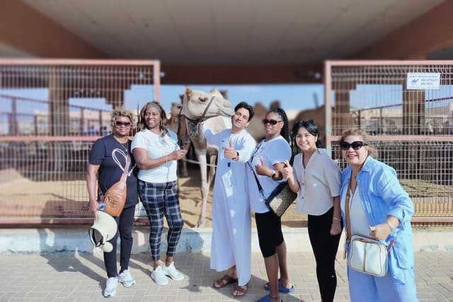 Al Ain City Tour From Dubai: Camel Market, Oasis & Historic Fort