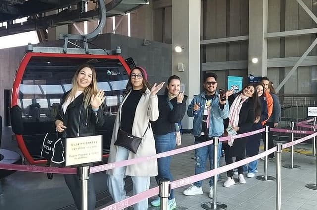 Half orDay Private Tour For Cruise Incheon & N Seoul Tower & city