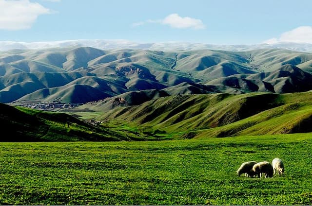 Huhhot Inner Mongolia 3 Days Xilamuren kubuqi Desert Nature Tour