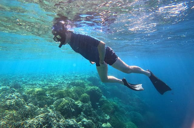 Snorkeling at Menjangan Island Bali Hidden Underwater Gem