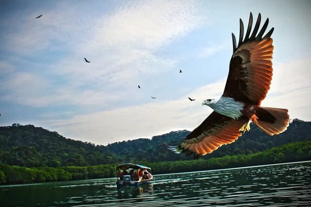Malaysia Langkawi Island Hopping Tour Experience