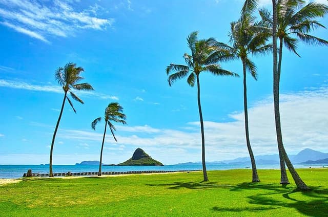 Private 5-Hour Driving Tour of Oahu’s Highlights