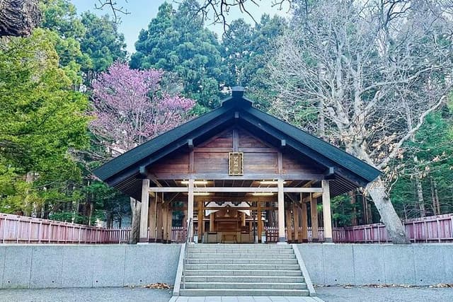 Sapporo Hidden Gems Walking Tour: Hokkaido Shrine, Mt.Moiwa, Cafe
