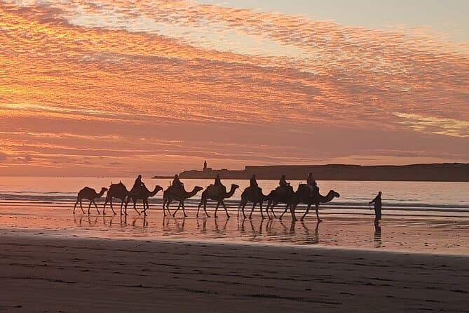 Magical Sunset Horseback Riding Tours in Essaouira