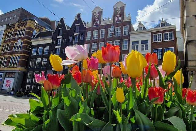 Amsterdam Self Guided Walking Route of Highlights and Hidden Gems