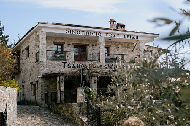 Taste of Paphos Hills: Boutique Wine Tour & Scenic Escape