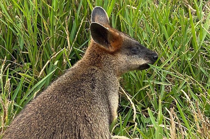 Top-Rated Byron Bay Excursions from GC