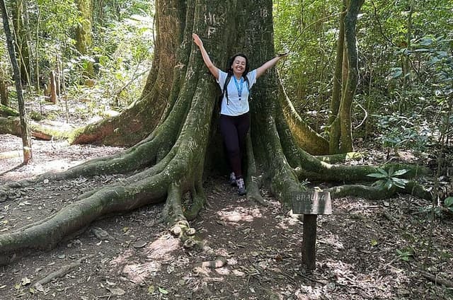Cantareira Park Eco Tour: Nature, Hike & Lookout