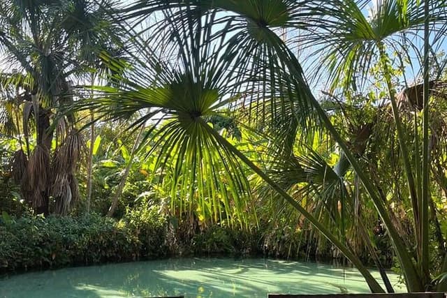 3-Day Tour to the Natural Paradise of Jalapão