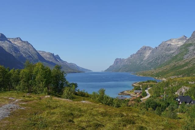 Express Fjord Road trip with Wandering Owl