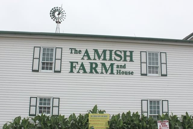 Amish Farm and House 1-Day Small Group with Max 12 Tour from D.C