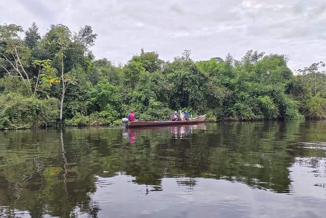 Yacuma Pampas Jungle Tour 3 Days from Rurrenabaque