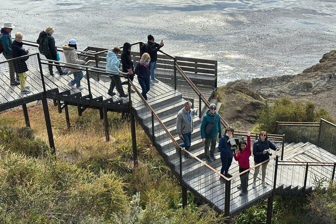 Best Fort Bulnes Tours in Punta Arenas