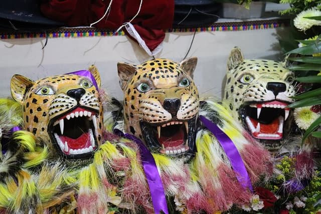 ZOQUES Carnivals, Tradition, Celebration and lots of COLOR!