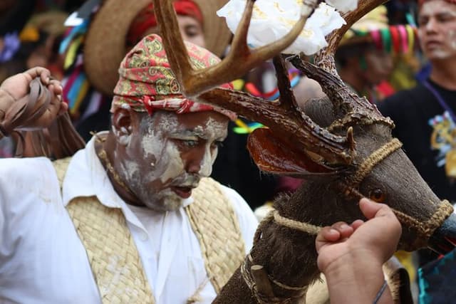 Corpus Christi, la danza del Tigre, el Venado y los Gigantes