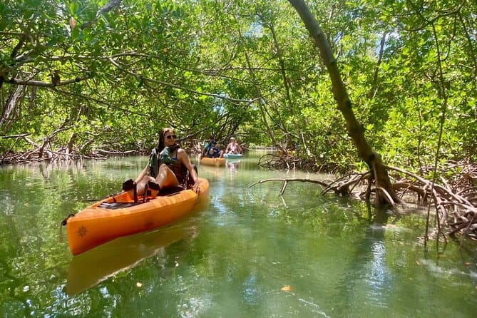 Best Marco Island Pedal Kayak Tours & Naples Adventures