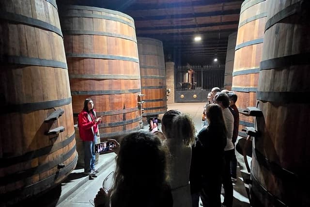 Premium Wine tour + 7 tastings + Lapis Lazuli + Private Transport