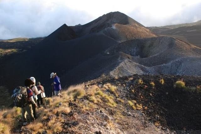 Mount Cameroon Trekking Adventure 10Days/9Nights