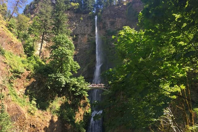 Private Multnomah Falls and Mt. Hood Tour with Gorge Waterfalls