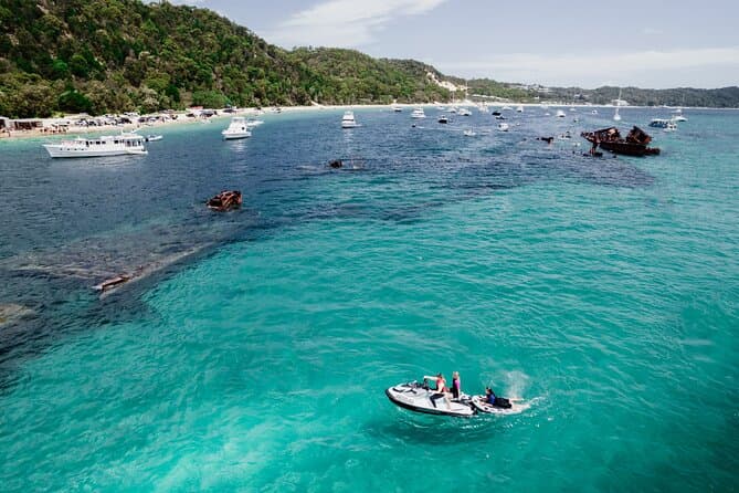 Top-Rated Moreton Island Marine Tours from Brisbane