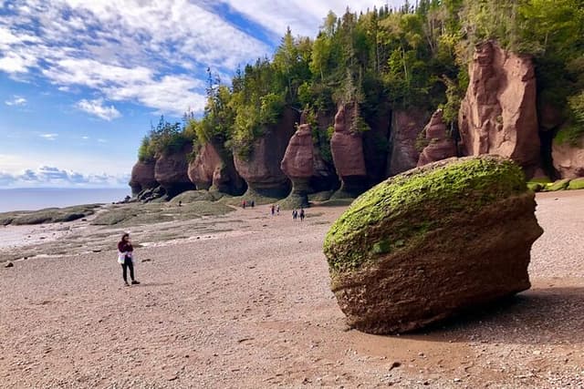 Private Shore Excursion to Hopewell Rocks and Fundy National Park