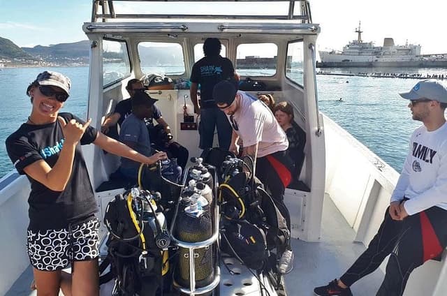 Shark Cage Diving, Boulders Penguins & Cape point Nature Reserve