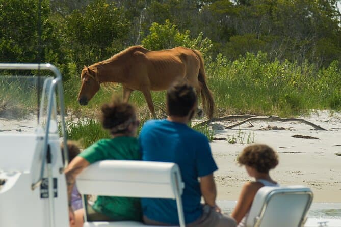 Explore Wild Horses: Assateague Island Ocean City Cruises